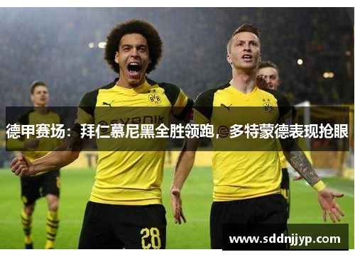 德甲赛场：拜仁慕尼黑全胜领跑，多特蒙德表现抢眼