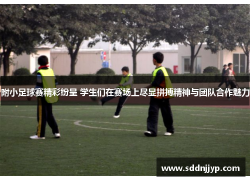附小足球赛精彩纷呈 学生们在赛场上尽显拼搏精神与团队合作魅力